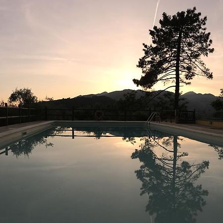 Agriturismo Il Pino San Martino in Freddana Exteriör bild