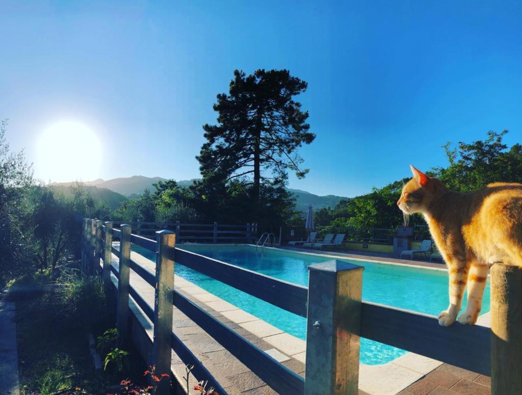 Agriturismo Il Pino San Martino in Freddana Exteriör bild